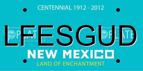LFESGUD New Mexico License Plate