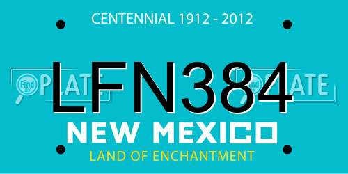 LFN384 New Mexico License Plate