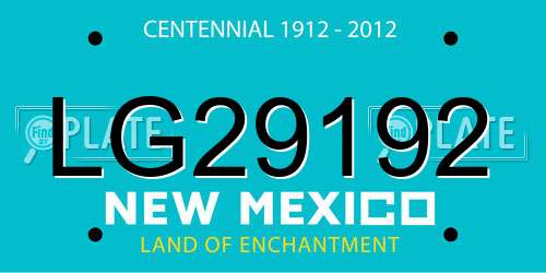 LG29192 New Mexico License Plate