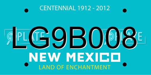 LG9B008 New Mexico License Plate