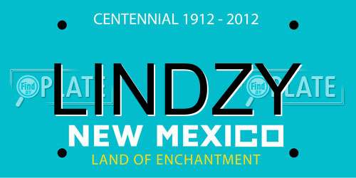LINDZY New Mexico License Plate