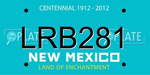 LRB281 New Mexico License Plate