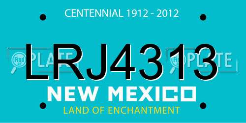 LRJ4313 New Mexico License Plate