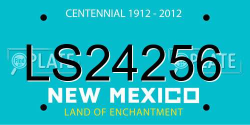 LS24256 New Mexico License Plate
