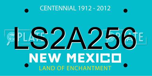 LS2A256 New Mexico License Plate