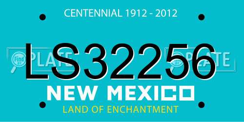 LS32256 New Mexico License Plate