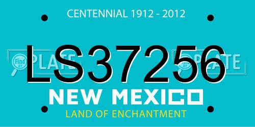 LS37256 New Mexico License Plate