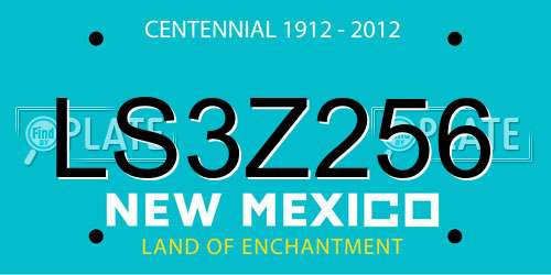 LS3Z256 New Mexico License Plate