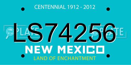 LS74256 New Mexico License Plate