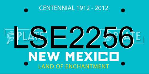 LSE2256 New Mexico License Plate