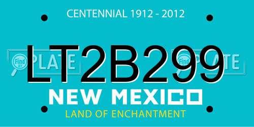 LT2B299 New Mexico License Plate