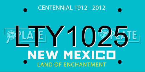 LTY1025 New Mexico License Plate