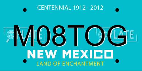 M08TOG New Mexico License Plate