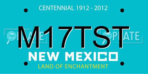 M17TST New Mexico License Plate