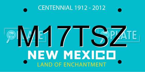 M17TSZ New Mexico License Plate