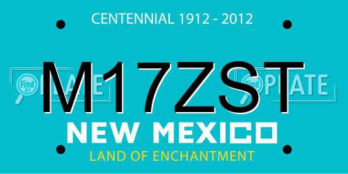 M17ZST New Mexico License Plate