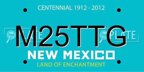 M25TTG New Mexico License Plate