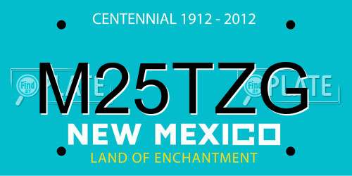 M25TZG New Mexico License Plate