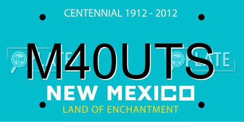 M40UTS New Mexico License Plate