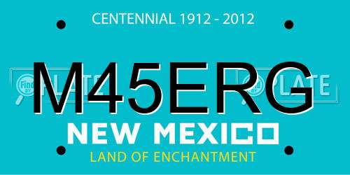 M45ERG New Mexico License Plate