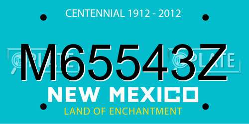 M65543Z New Mexico License Plate