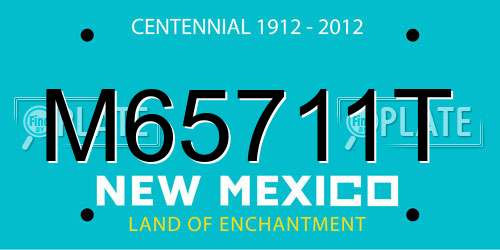 M65711T New Mexico License Plate