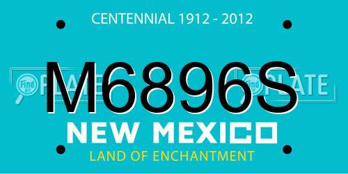 M6896S New Mexico License Plate
