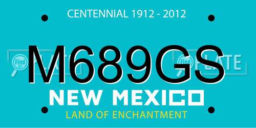 M689GS New Mexico License Plate