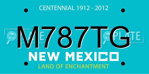 M787TG New Mexico License Plate