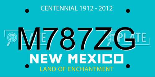 M787ZG New Mexico License Plate