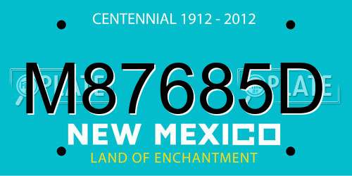 M87685D New Mexico License Plate