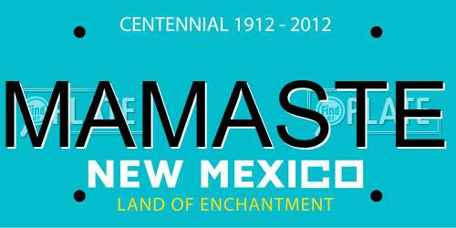 MAMASTE New Mexico License Plate