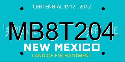 MB8T204 New Mexico License Plate