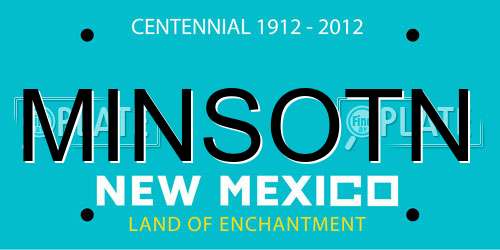 MINSOTN New Mexico License Plate