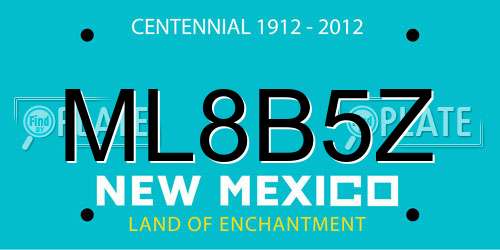 ML8B5Z New Mexico License Plate