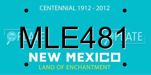 MLE481 New Mexico License Plate