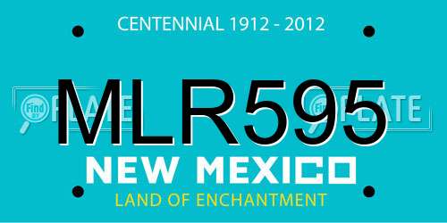 MLR595 New Mexico License Plate