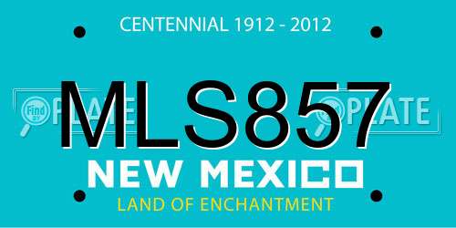 MLS857 New Mexico License Plate