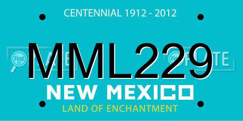 MML229 New Mexico License Plate