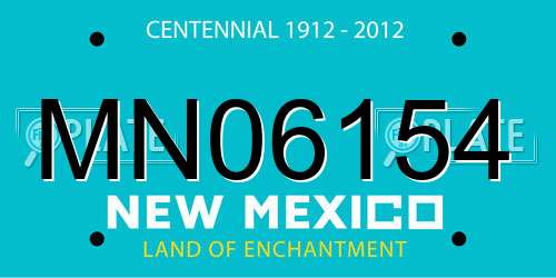 MN06154 New Mexico License Plate
