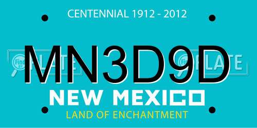 MN3D9D New Mexico License Plate