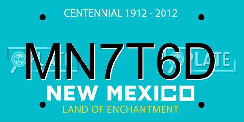 MN7T6D New Mexico License Plate