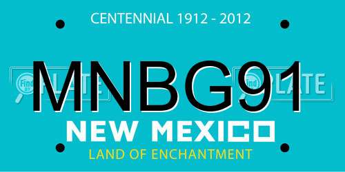 MNBG91 New Mexico License Plate