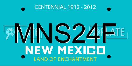 MNS24F New Mexico License Plate