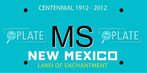 MS New Mexico License Plate