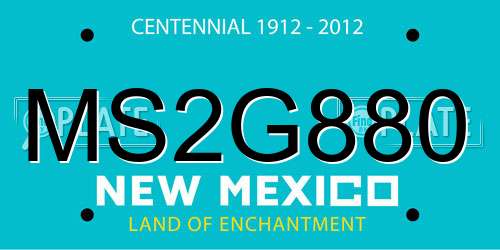 MS2G880 New Mexico License Plate