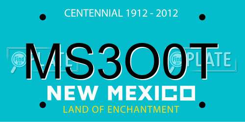 MS3O0T New Mexico License Plate