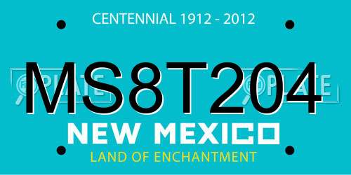 MS8T204 New Mexico License Plate