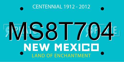 MS8T704 New Mexico License Plate