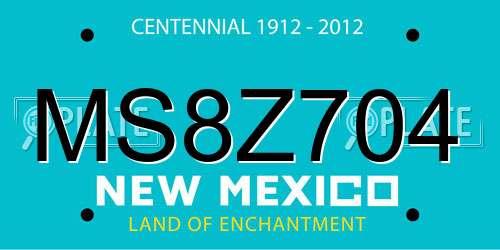 MS8Z704 New Mexico License Plate